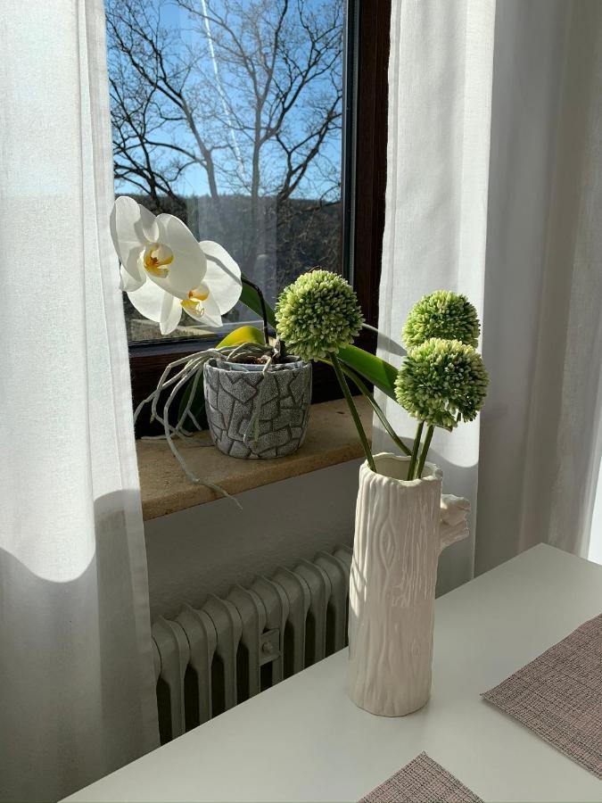 Top Modernes 1-Zimmer-Apartment Mit Kueche, Parkplatz, Kostenfreiem Wlan Und Netflix Bad Soden-Salmünster Екстериор снимка